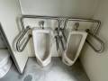 toilet-cleaning-after
